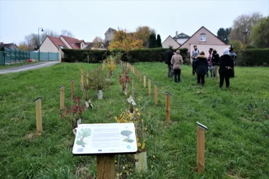 Animation “créer et entretenir une haie champêtre”