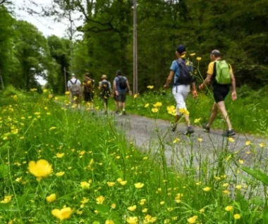 monatliche Wanderungen