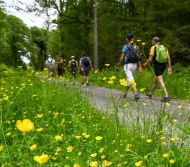 Les randos mensuelles du Parc # Sarcy