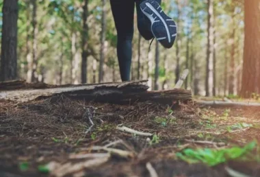 Sortie trail en Forêt d’Exception