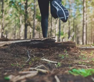 Initiation au trail en Forêt d’Exception