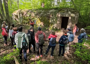 La forêt de Verzy, entre mythe et réalité