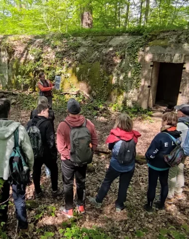 La forêt de Verzy, entre mythe et réalité