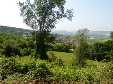 Park hikes: Champillon