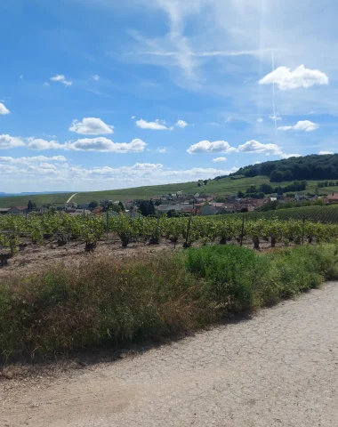 Les randos du Parc : Trépail