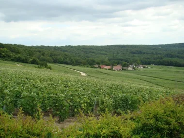 Les paysages d’Hautvillers