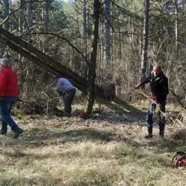 Chantier d’entretien des pelouses calcaires et clairières de Sacy