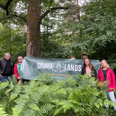 De la musique métal en pleine forêt ?!