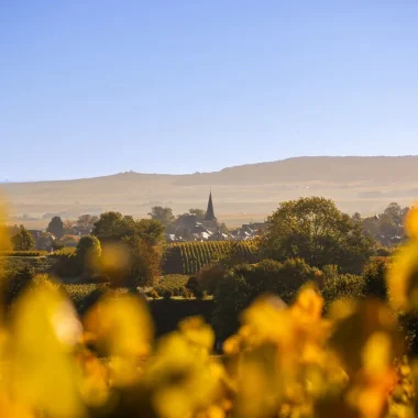 Découverte des paysages enchanteurs du Parc