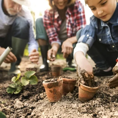 L’éducation au territoire et au développement durable