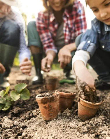 L’éducation au territoire et au développement durable