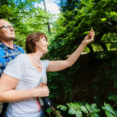 Se promener dans des Forêts d’Exception® entre Reims et Épernay 