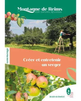 Créer et entretenir un verger
