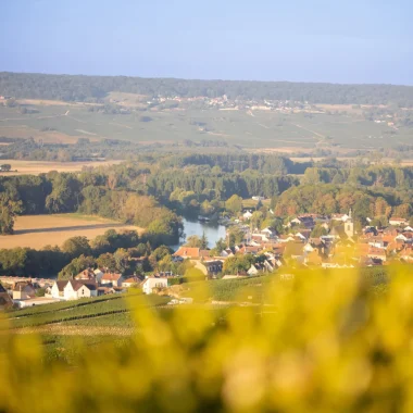 Urbanisme et paysage
