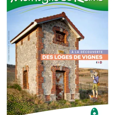 A la découverte des loges de vigne!