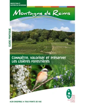 Connaître, valoriser et préserver les lisières forestières