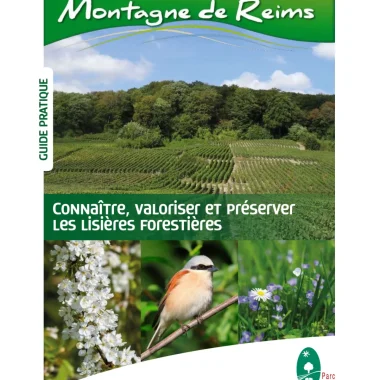 Connaître, valoriser et préserver les lisières forestières