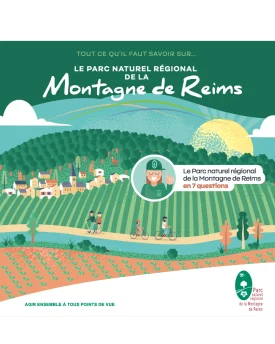 Le Parc naturel régional de la Montagne de Reims en 7 questions