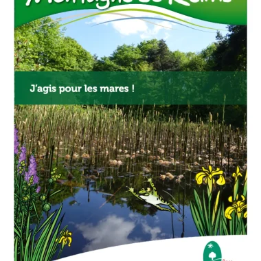 J’agis pour les mares!