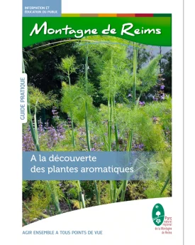 A la découverte des plantes aromatiques