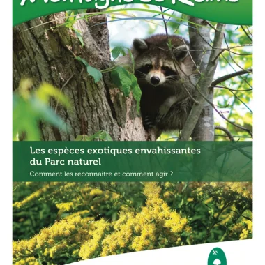 Les espèces exotiques envahissantes du Parc