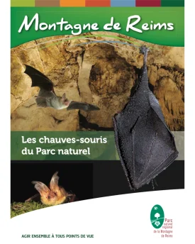 Les chauves-souris du Parc