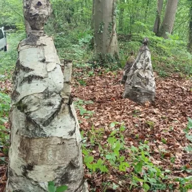 C’est parti pour la 4ème édition d’Art en Forêt !
