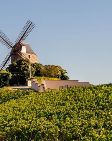 Die Must-Sees in Montagne de Reims