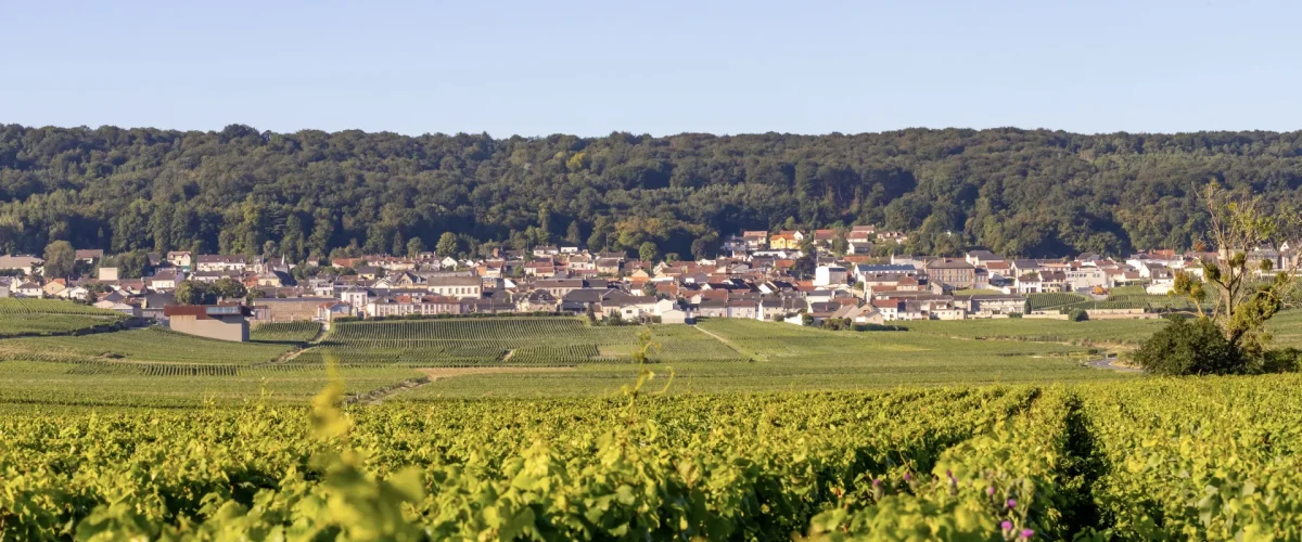 Nos 63 communes
