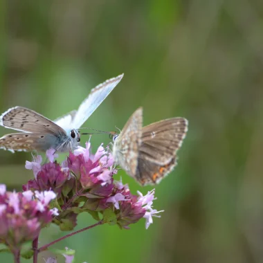Natura 2000 : des sites naturels d’exception !