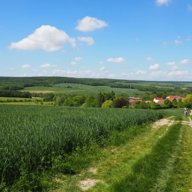 Trames verte, bleue et noire : par ici la biodiversité !