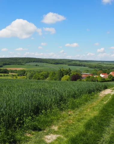 Trames verte, bleue et noire : par ici la biodiversité !