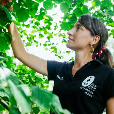 Le Parc recrute un.e chargé(e) de mission « transition écologique et énergétique » !