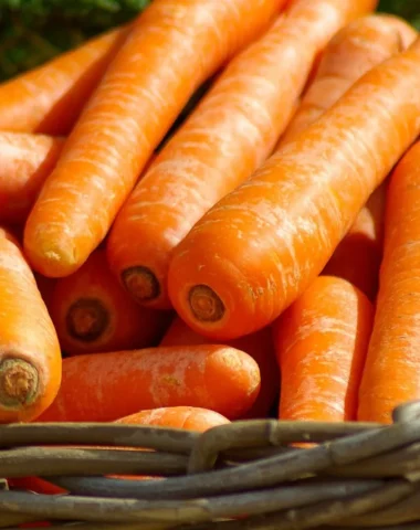 Agriculture et alimentation : à table !