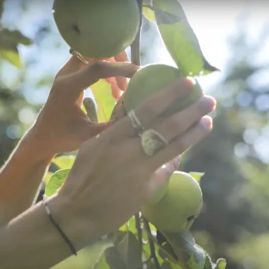 Vos Coups de pouce Nature : Créer des vergers conservatoires !