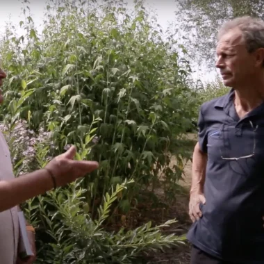 Les Habitants ont du talent # Épisode 4 : Courtagnon