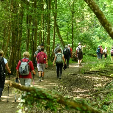 Park hikes: around Bouilly and Courmas