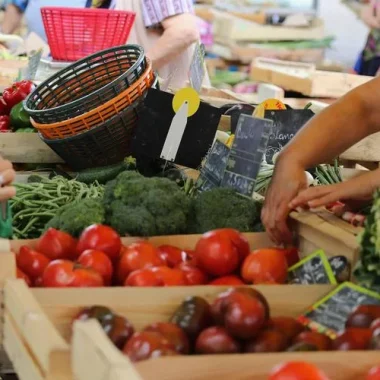 Le Parc propose un service civique !