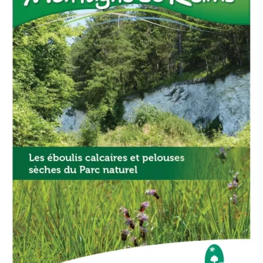Les éboulis calcaires et pelouses sèches du Parc