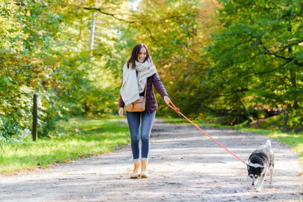 7 good reflexes for a practice without trace