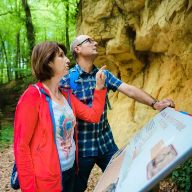 Explorer le riche patrimoine géologique de la Montagne de Reims
