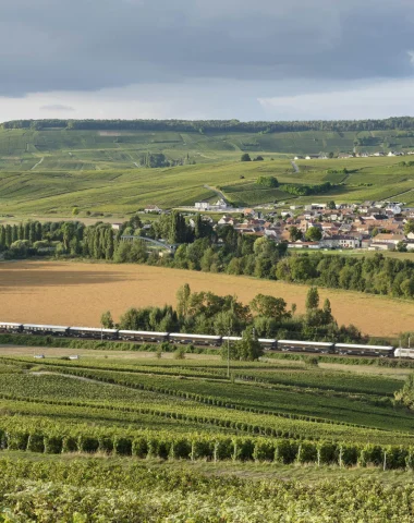 Der Park handelt für die Landschaften seines Territoriums!
