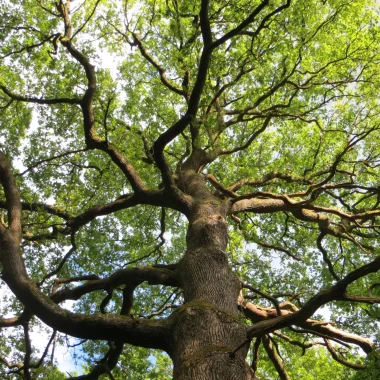 Life Biodiv’Est : un nouvel appel à projet !