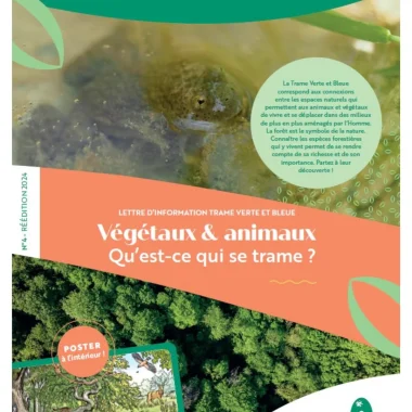 Qu’est-ce qui se trame en forêt ?