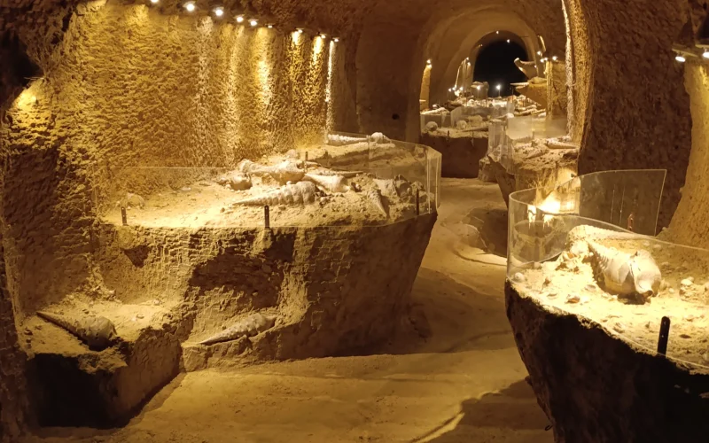Les sites de visite